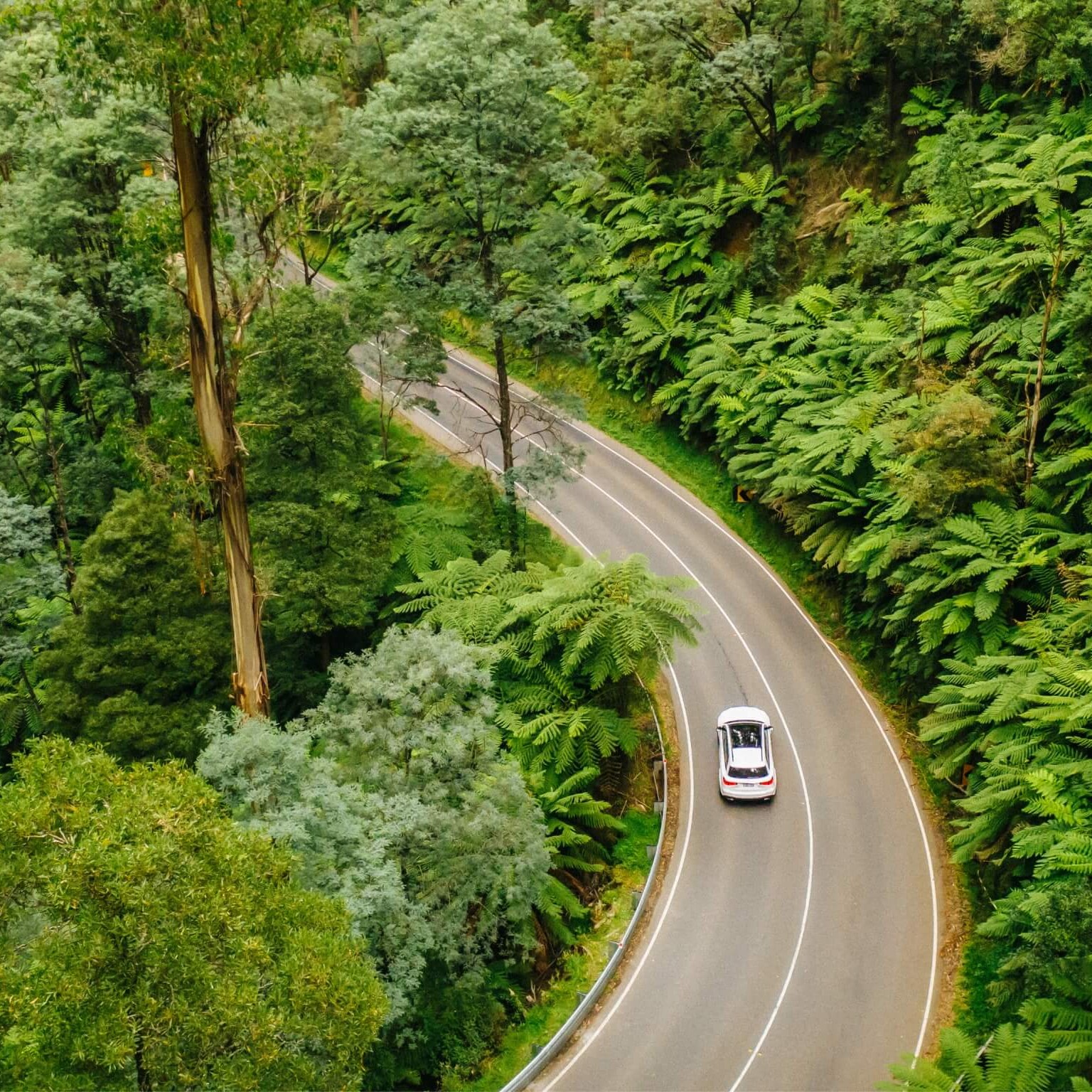 Mercedes-Benz GLS in the Yarra Valley in Victoria.