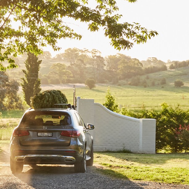 A Christmas tree on the roof of a Mercedes GLA