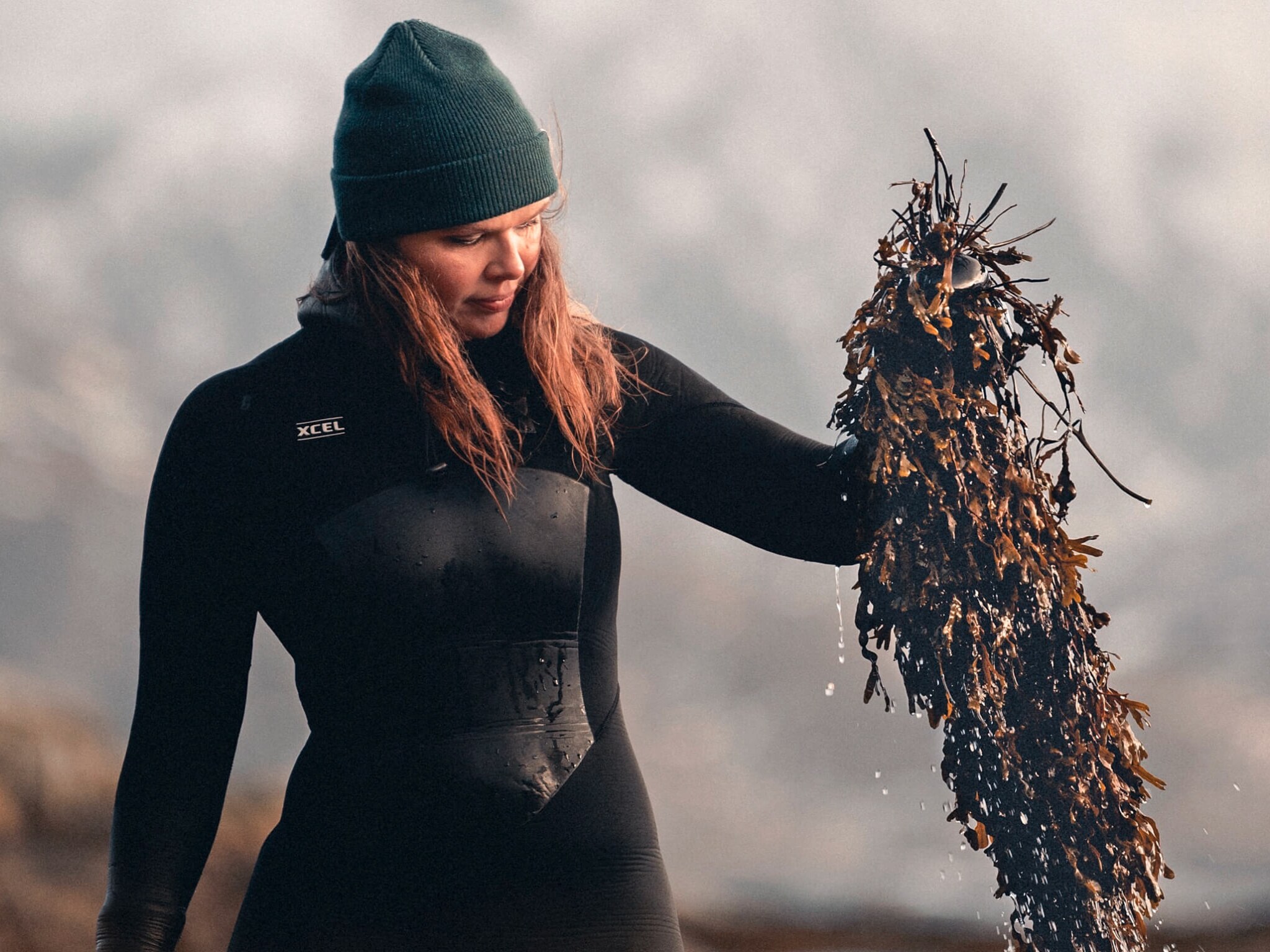 Angelita Eriksen wears a wetsuit in water while harvesting seaweed. 
