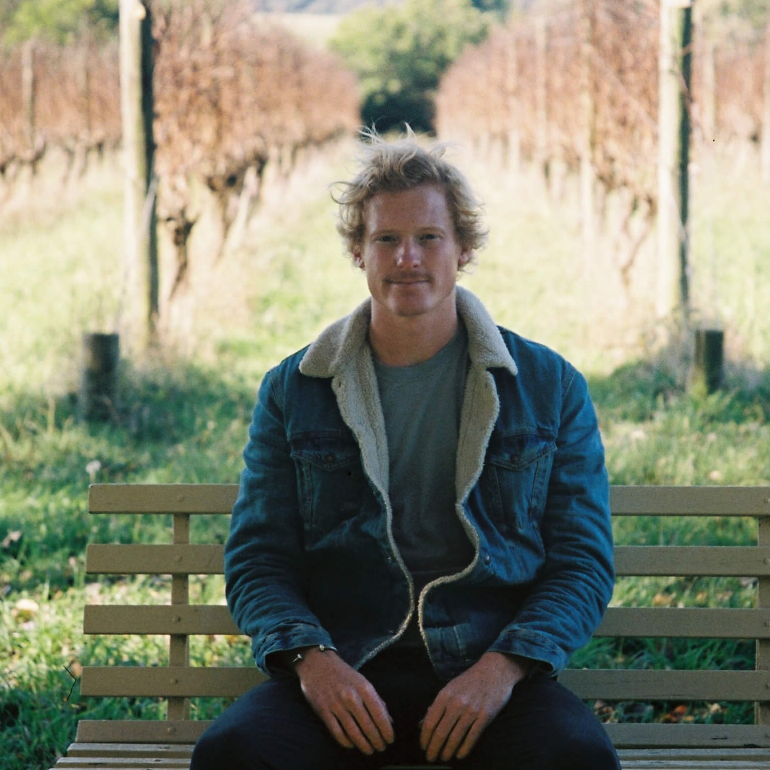 A man sits on a bench in a vineyard