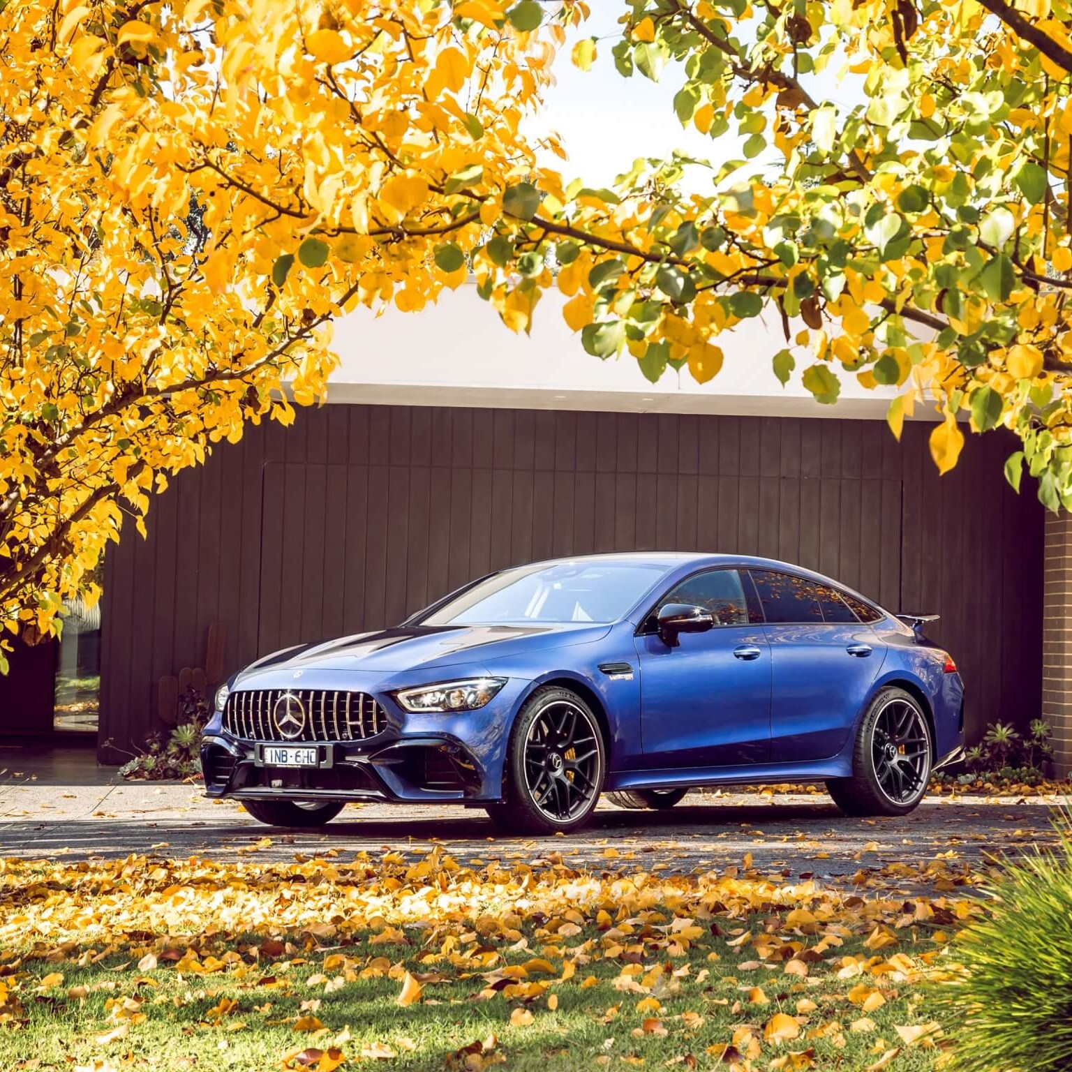 A blue car parked among trees