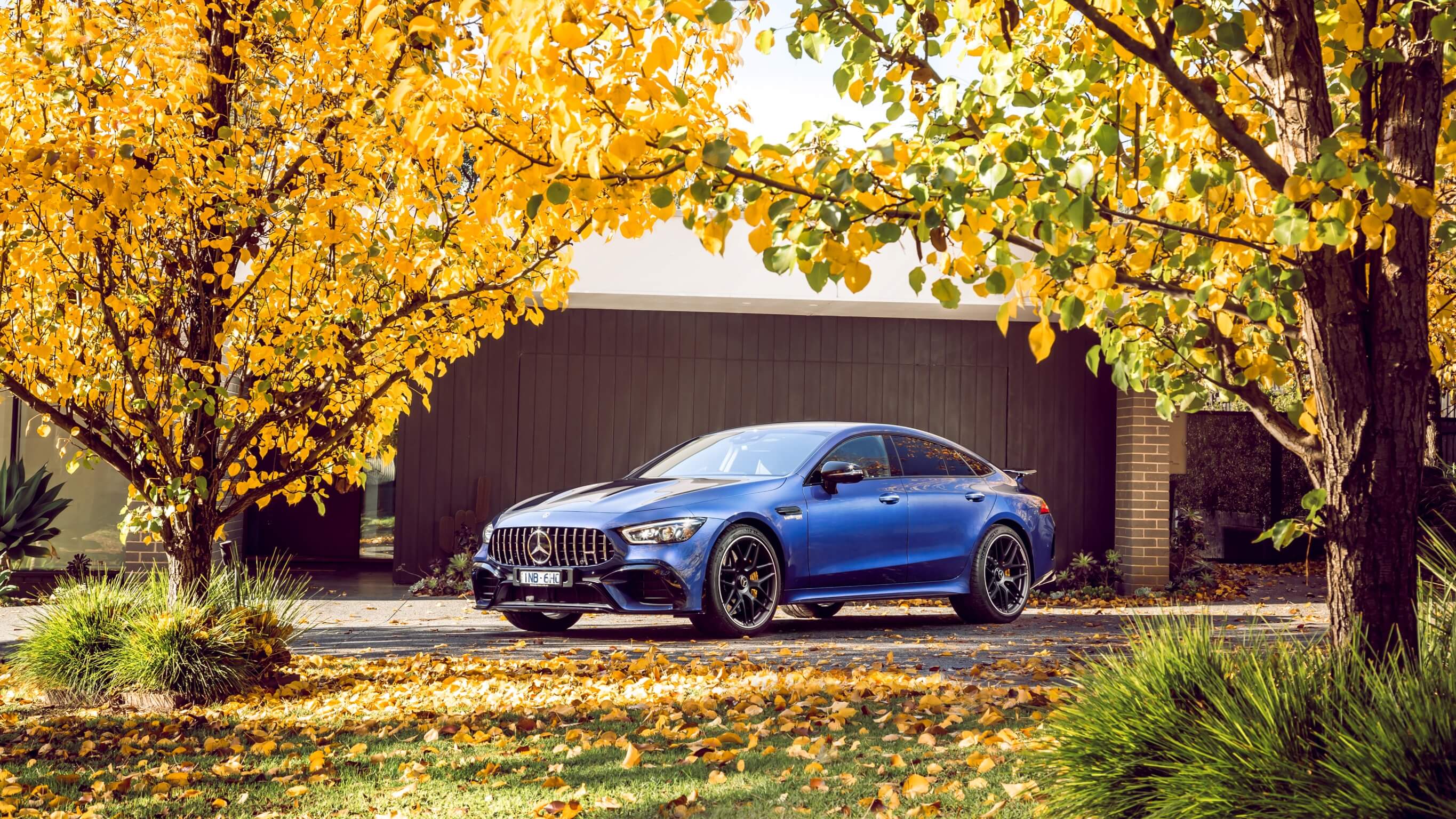 Garage A blue car parked among trees