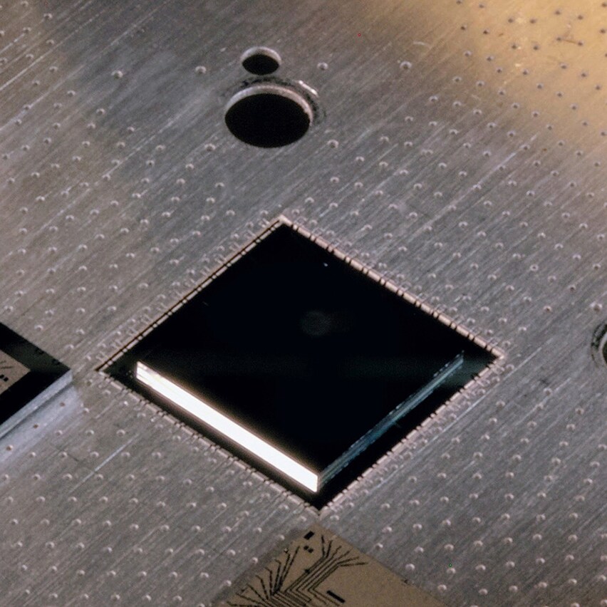 The image shows the main component of a microchip.